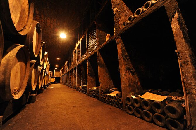 Half Day Tour of the Cote de Nuits Vineyards from Dijon - The cellar tasting of Burgundy wines