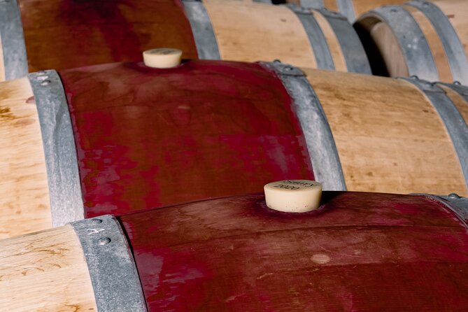 Half day tour Saint-Emilion : Village & Château with wine tasting - Weather, walking, and the pace of the afternoon