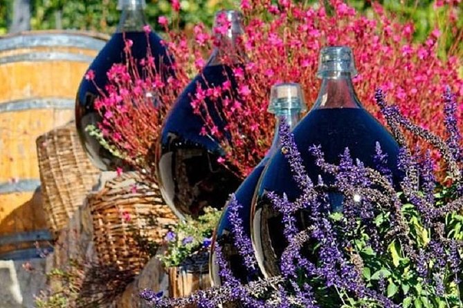 Half-Day Wine Tasting and Saint Paul de Vence Tour from Nice - How the timing affects your morning