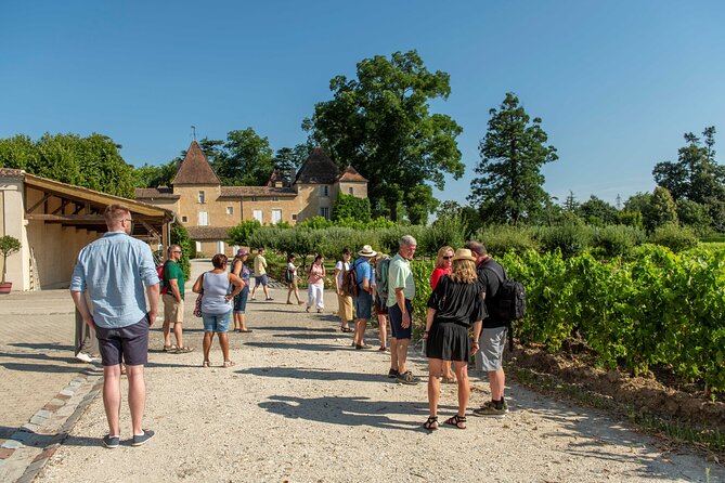 Half-Day Wine tour across Bordeaux’s Vineyards - Key points to know before you go