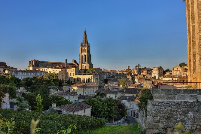Half-Day Wine tour across Bordeaux’s Vineyards - The château visit and wine tasting