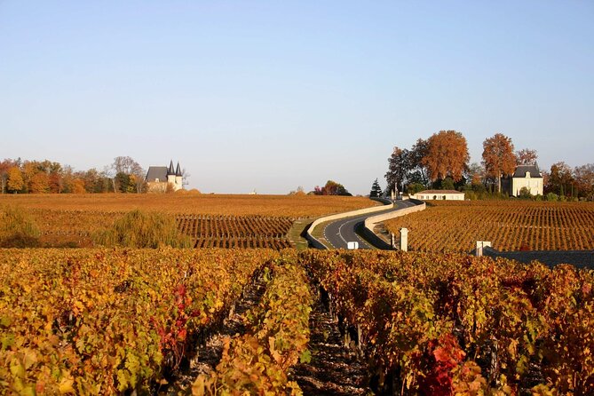 Half-Day Wine tour across Bordeaux’s Vineyards - Why the bilingual format can slow the afternoon