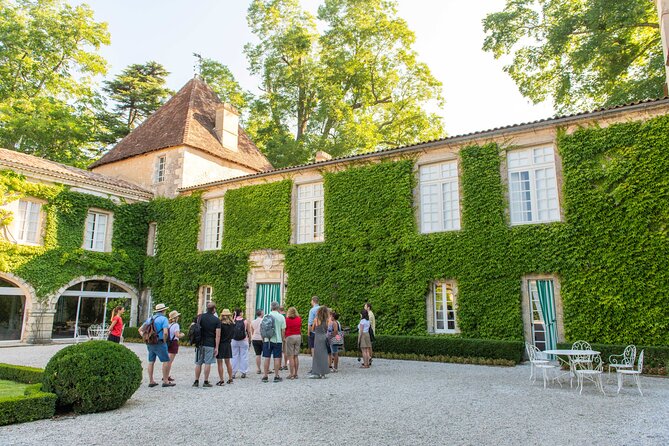 Half-Day Wine tour across Bordeaux’s Vineyards - Price, group size, and overall value