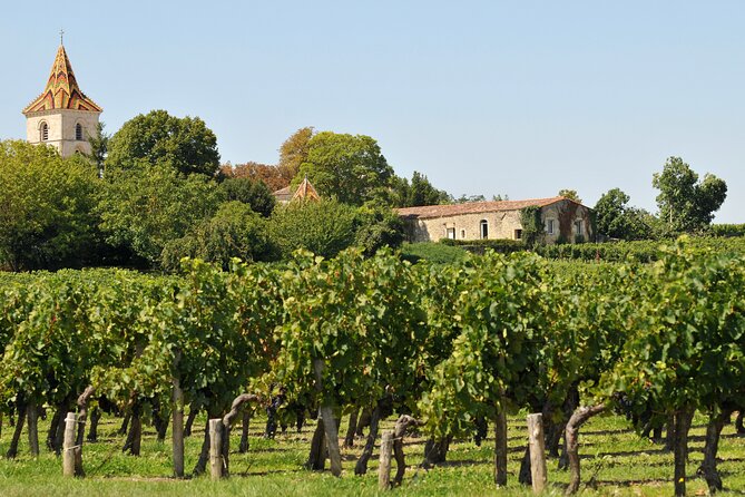 Half-Day Wine tour across Bordeaux’s Vineyards - Who should book this afternoon