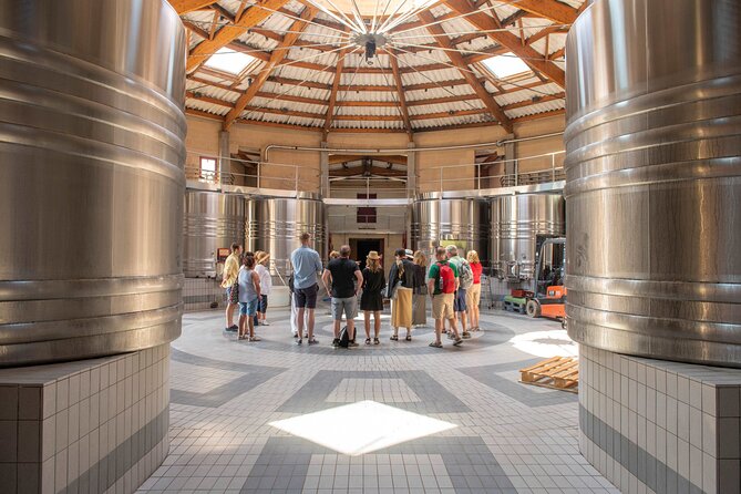 Half-Day Wine tour across Bordeaux’s Vineyards - Saint-Émilion and the Monolithic Church