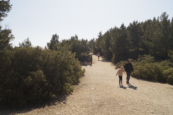 Hiking in the Calanques National park from Marseille - Calanque de Morgiou and the coastal scenery