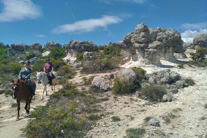 Horse ride in Haute Provence Luberon and Forcalquier - Riding through the Forcalquier or Luberon hills
