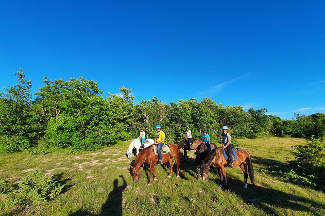 Horse ride in Haute Provence Luberon and Forcalquier - Clothing, helmets, and comfort