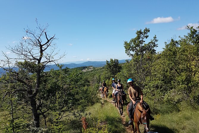 Horse ride in Haute Provence Luberon and Forcalquier - Is $80.46 a fair price?