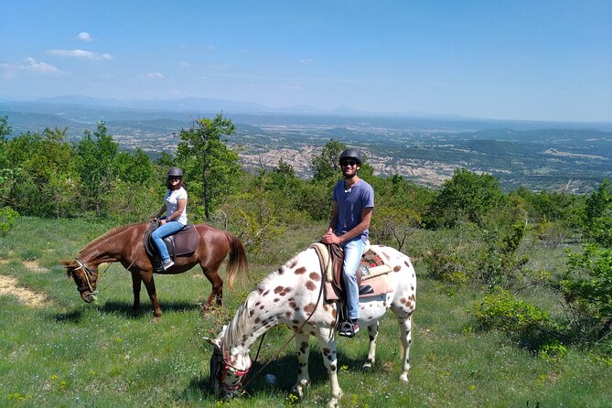 Horse ride in Haute Provence Luberon and Forcalquier - Meeting the horses before the ride