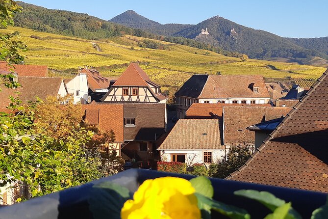 ICONICS Tour: 1/2 day on the Wine Route, visit of 2 Villages + Tasting. - Why this short wine tour works well from Colmar
