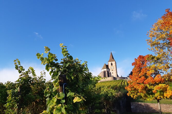ICONICS Tour: 1/2 day on the Wine Route, visit of 2 Villages + Tasting. - Time, comfort, and the small-group difference