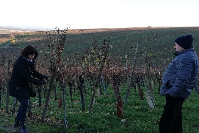 ICONICS Tour: 1/2 day on the Wine Route, visit of 2 Villages + Tasting. - Who should book this Alsace afternoon?