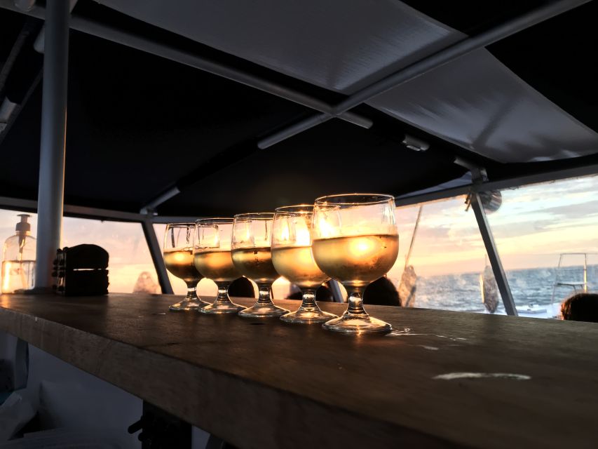 La Rochelle: Catamaran Cruise - Key points to know before you sail