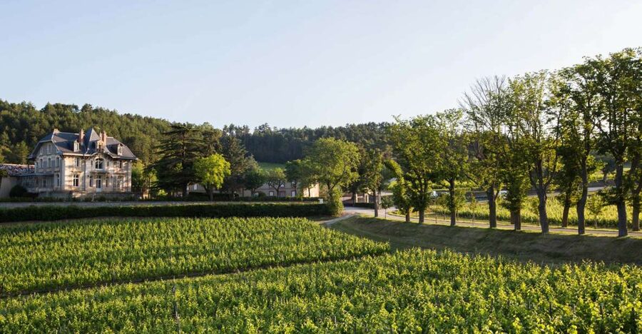 Languedoc: Tour and Tasting at Domaine de Baronarques - Key Points Before You Book