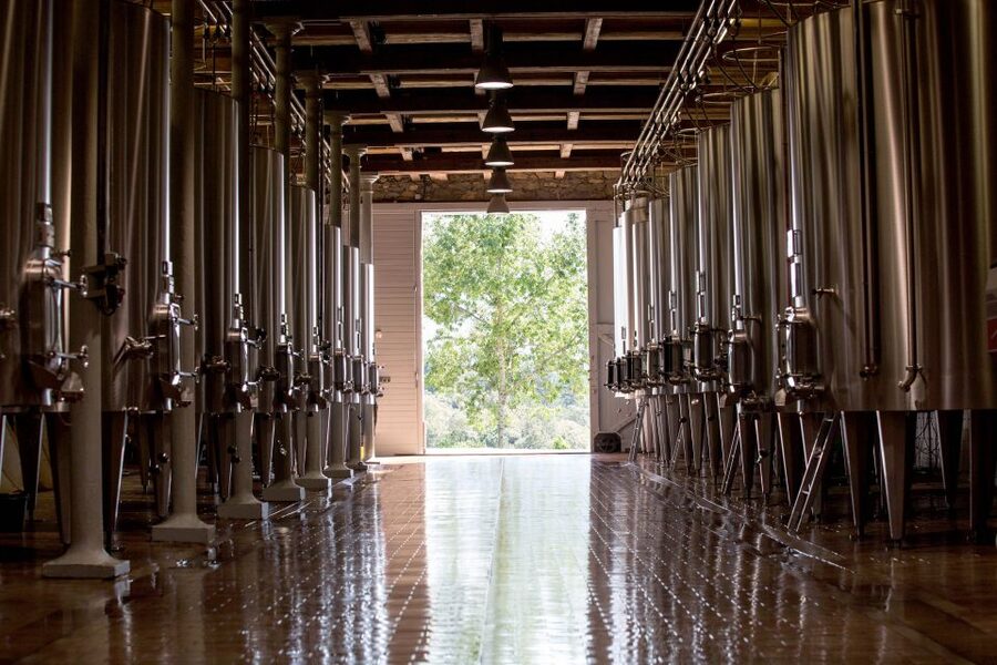 Languedoc: Tour and Tasting at Domaine de Baronarques - The Vineyard and the New Barrel Cellar