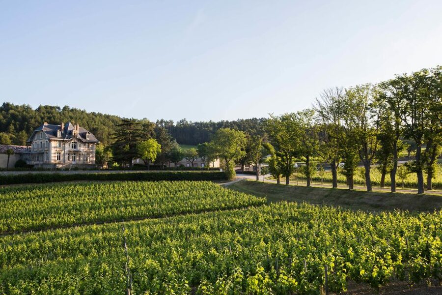Languedoc: Tour and Tasting at Domaine de Baronarques - A Property With Centuries Behind It
