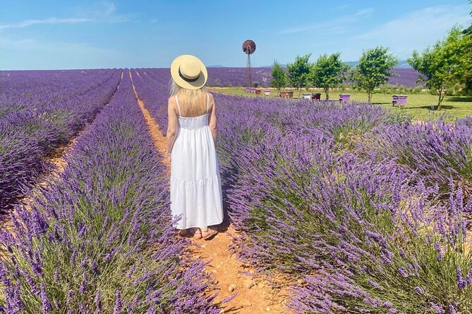 Lavender in Luberon Small Group Half-Day Trip - Sénanque Abbey adds Provence’s most famous lavender setting