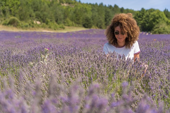 Lavender Small-Group Tour In Valensole from Marseille - Why this lavender day trip works
