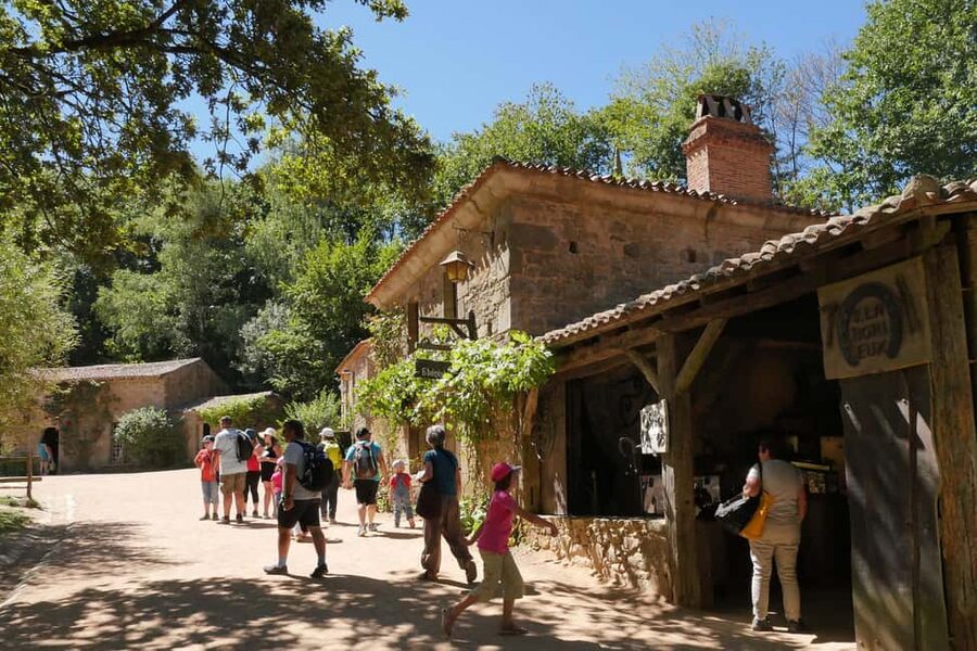Les Epesses: Puy du Fou Theme Park 1-Day Entry Ticket - Birds of prey and the park’s animal life
