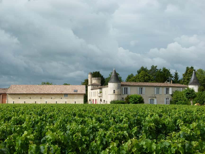 Libourne: Winery Tour with Wine and Chocolate Tasting - Inside the vat room and barrel cellar