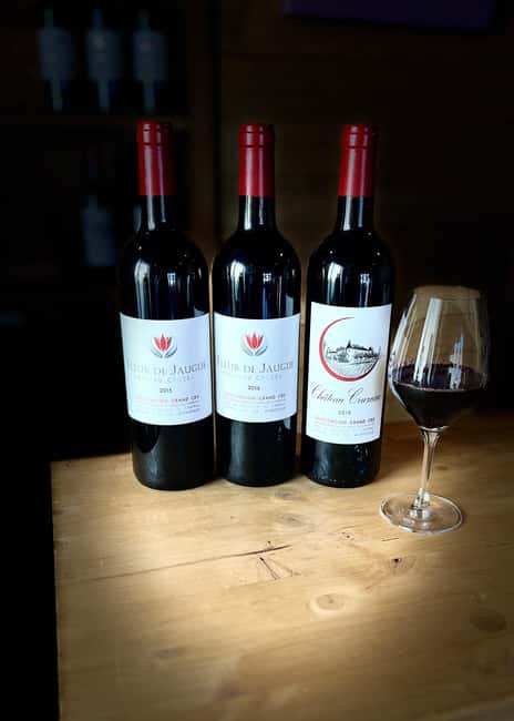 Libourne: Winery Tour with Wine and Chocolate Tasting - How much learning do you get in 75 minutes?