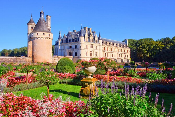 Loire Valley Castles Day Trip from Paris with Complementary Wine - Blois for lunch, royal architecture, and a short pause