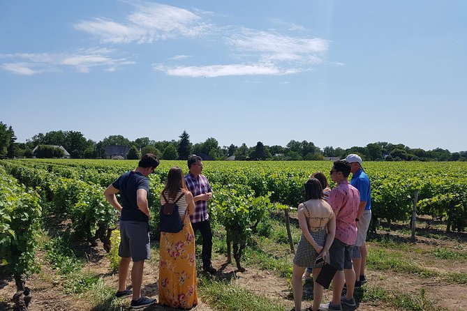 Loire Valley Half Day Wine Tour from Tours : 2 local wineries - Key points before you book