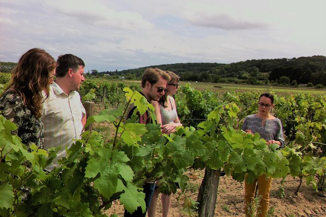 Loire Valley Half Day Wine Tour from Tours : 2 local wineries - Amboise and the AOC Touraine tasting