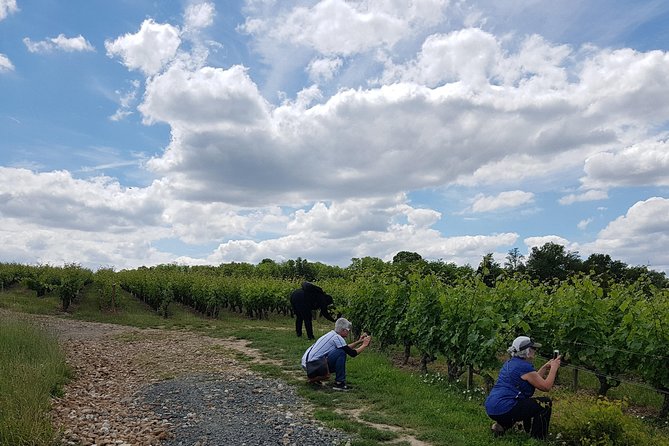 Loire Valley Half Day Wine Tour from Tours : 2 local wineries - Value at $119.48 per person