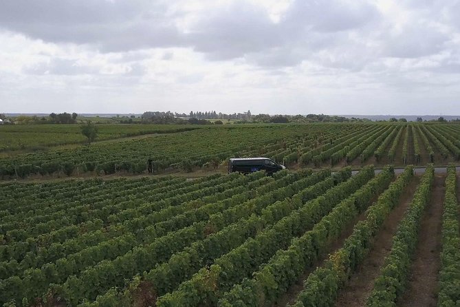 Loire Valley Half Day Wine Tour from Tours : 2 local wineries - The ride from Tours to the Loire vineyards