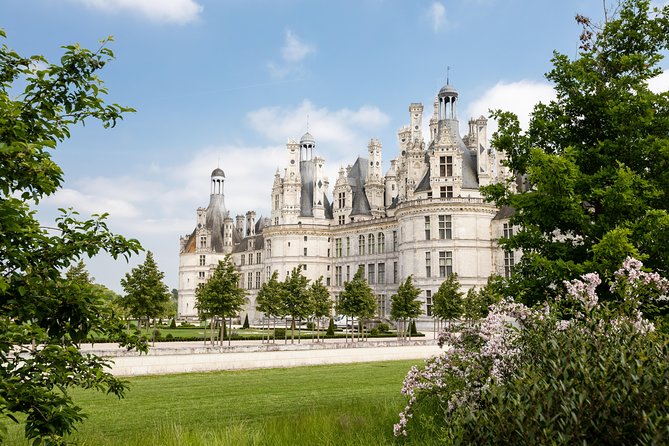 Loire Valley Wines and Castle Small Group Day Trip from Paris - A French lunch paired with Loire wine