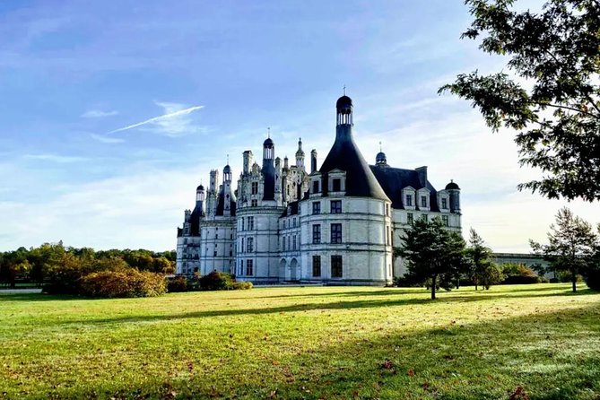Loire Valley Wines and Castle Small Group Day Trip from Paris - Family wineries and the appeal of small production