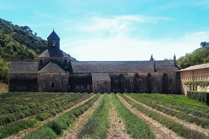 Luberon Market & Villages Day Trip from Aix-en-Provence - Sénanque Abbey and the lavender season