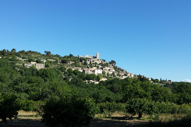 Luberon, Roussillon & Gordes Half-Day Tour from Avignon - Who should book this Luberon tour?