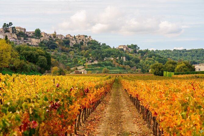 Luberon Small-Group Day Trip from Avignon - Is $133.03 a good value?