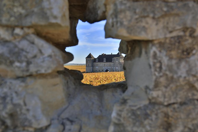 Luxury Luxury Wine Tour Experience - Reading Burgundy from the vineyard slopes