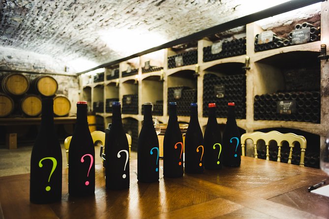 Luxury Luxury Wine Tour Experience - Clos de Vougeot and Burgundy’s famous vineyard names