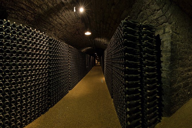 Luxury Luxury Wine Tour Experience - Three estates, three winemaking approaches