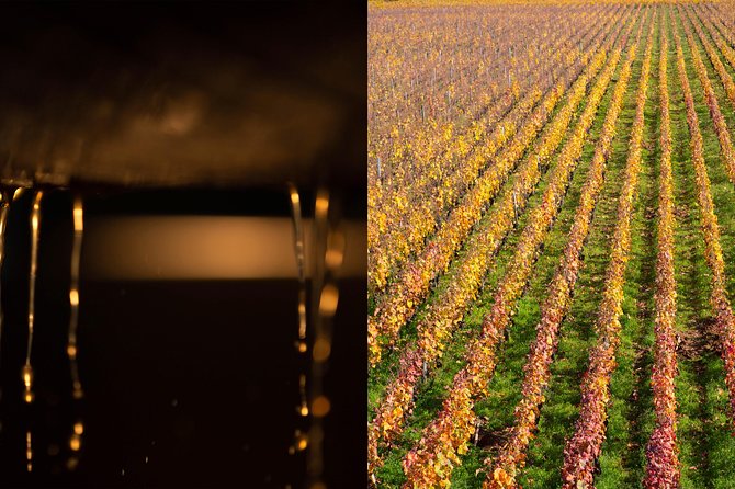 Luxury Luxury Wine Tour Experience - Tasting 18 wines without losing the plot
