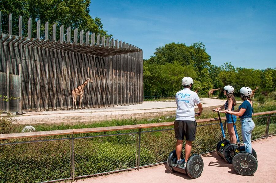 Lyon: City Segway Tour with a Local Guide - Riding the Rhône riverbanks