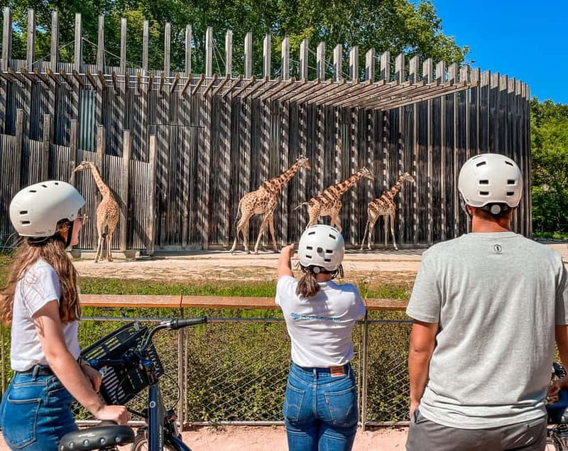 Lyon: Parc Tête d'Or eBike Tour - The Peninsula: Lyon’s grand civic center