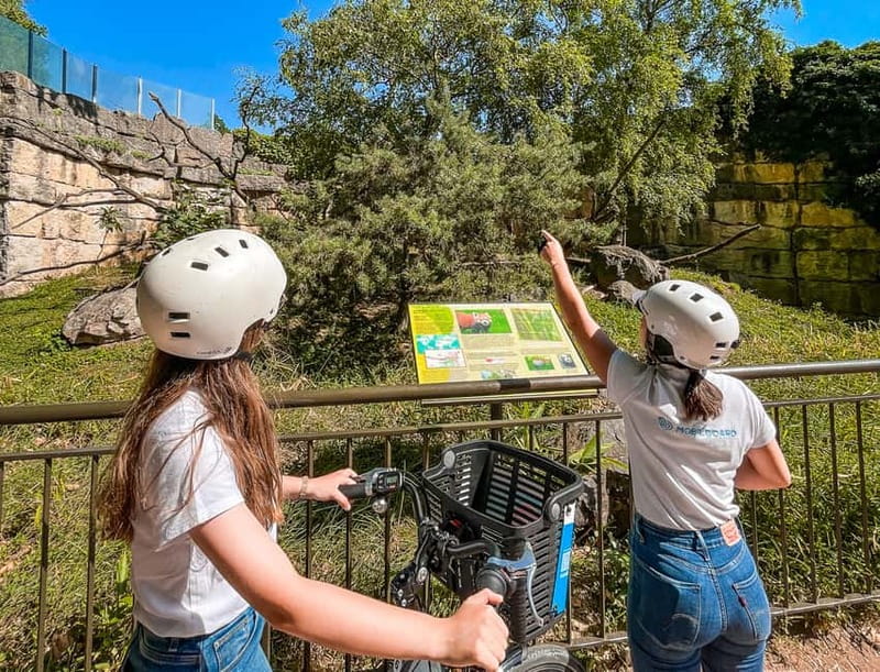 Lyon: Parc Tête d'Or eBike Tour - How the experience compares with exploring alone