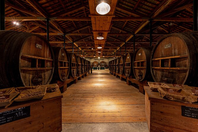 Maison Noilly Prat VIP tour, wine and vermouth tastings - Starting at the estate and meeting the Cellar Master