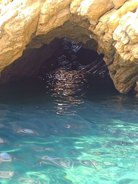 Marseille: Calanques Côte Bleue Marine Park Boat Cruise - Calanque de l’Erevine: the longest final stop
