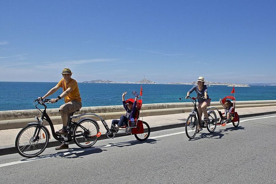 Marseille: City Highlights Guided Half-Day E-Bike Tour - Who should book this ride?
