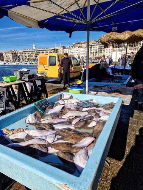 Marseille: découvrir la vieille ville avec un marseillais - Claude’s guiding style