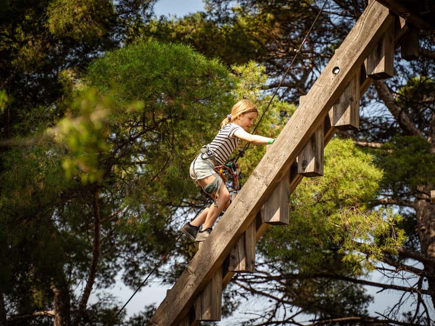 Marseille: Ecopark Adventures Treetop Adventure - Price and value for a full day