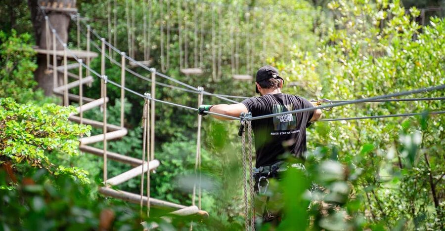 Marseille: Ecopark Adventures Treetop Adventure - Who will enjoy this most
