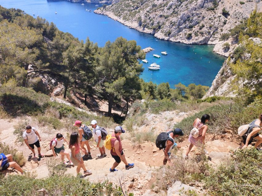 Marseille: Guided Hiking Calanques National Park from Luminy - Views, plants, and the changing pace